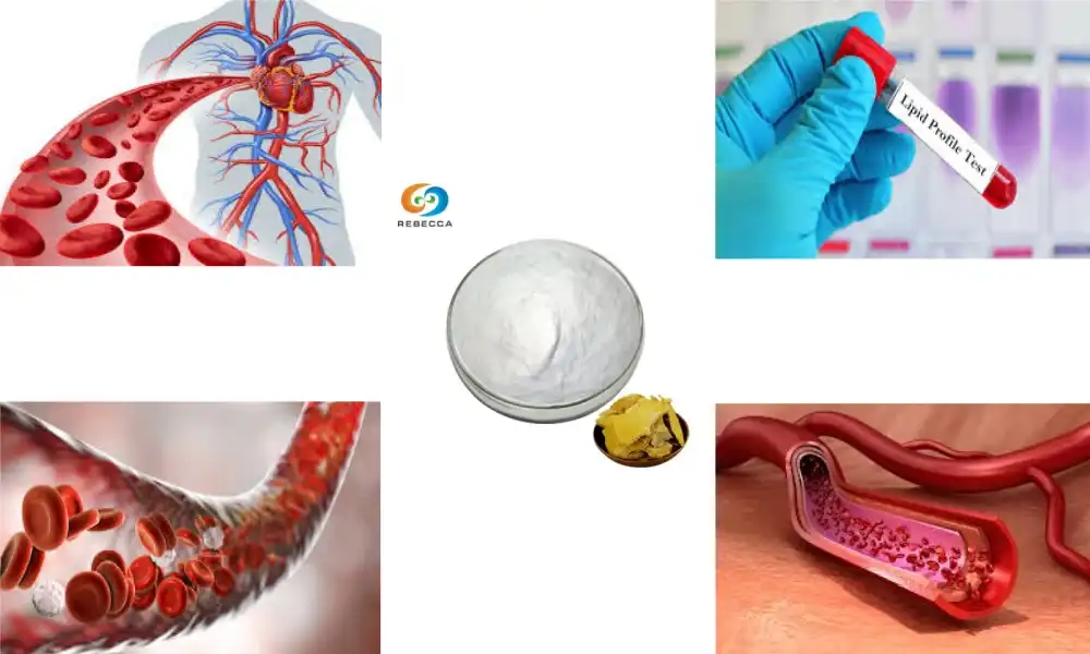 How Resveratrol Powder Supports Cardiovascular Health?